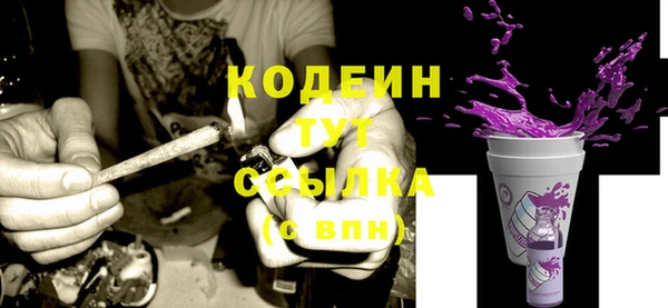 прущие грибы Арсеньев