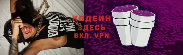 прущие грибы Арсеньев