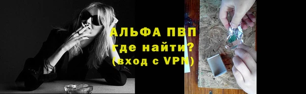 прущие грибы Арсеньев