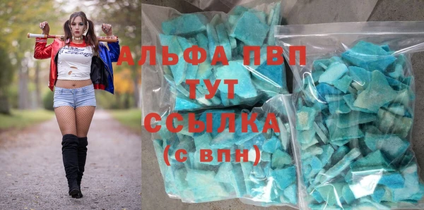 прущие грибы Арсеньев