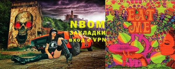 прущие грибы Арсеньев