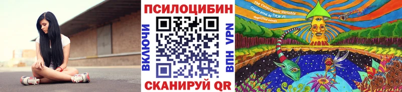 Галлюциногенные грибы Magic Shrooms где купить наркоту Навашино