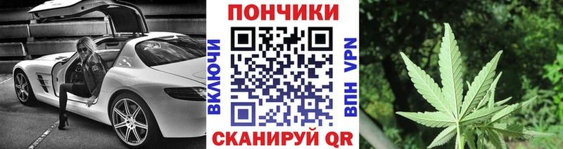 закладки Навашино Канабис ГИДРОПОН